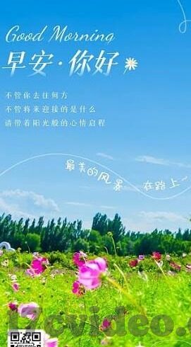 大陆午夜伦理-伦理的暗夜回响，大陆午夜的微妙探索