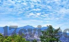 糖心视频app是哪个公司-揭秘糖心视频App背后的运营公司，深入了解媒体生态的一环